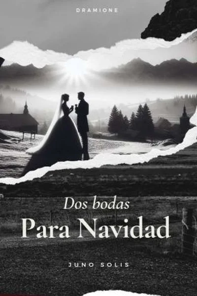 Dos bodas para navidad