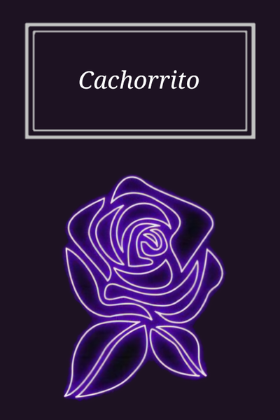 Cachorrito