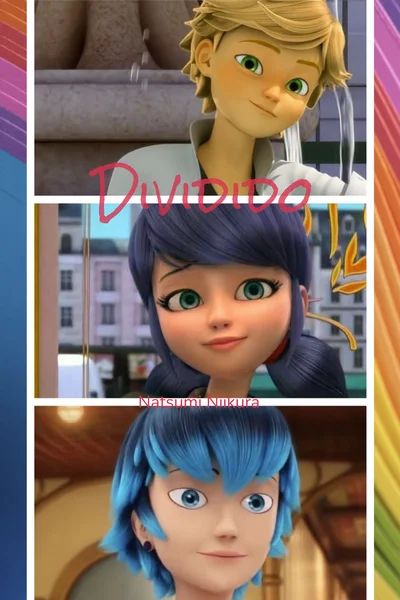 Dividido