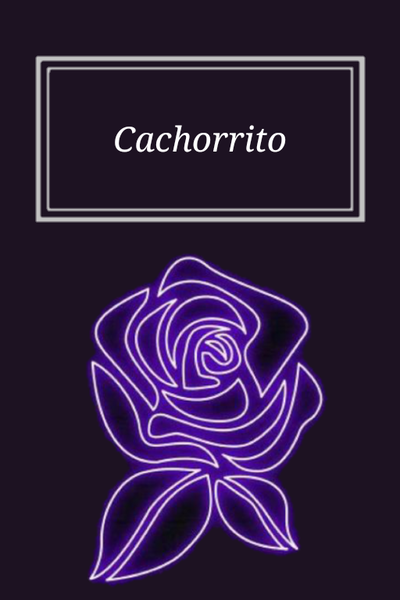 Cachorrito