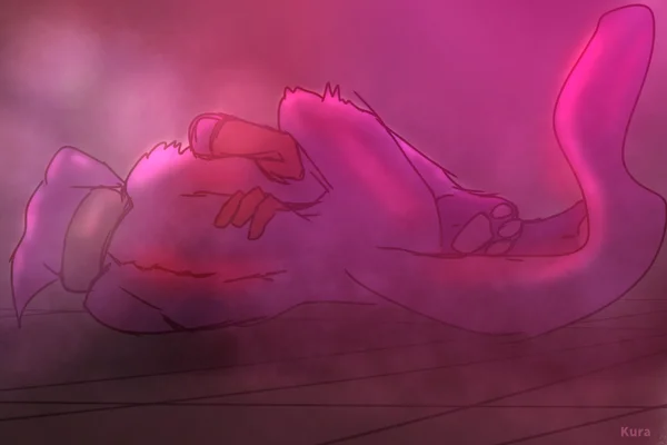 Entre flores Inmortales