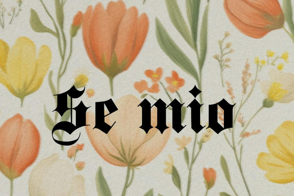 Se mío (Hiccstrid)