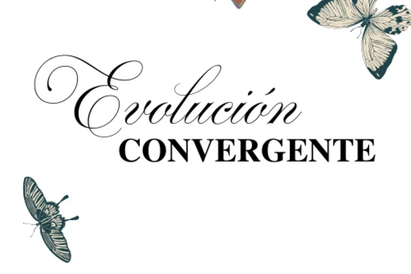 EVOLUCIÓN CONVERGENTE - JJK