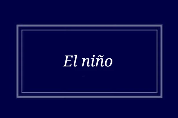 El niño